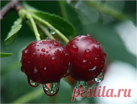 Вам сообщение!