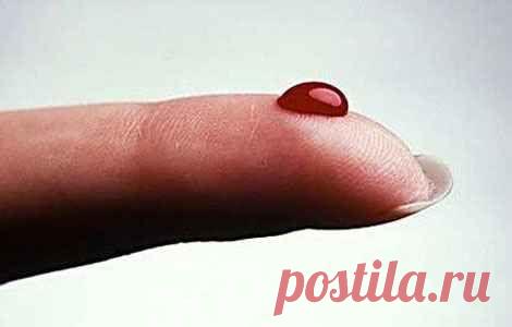 Разжижение крови народными средствами, травы | Sovetcik.ru