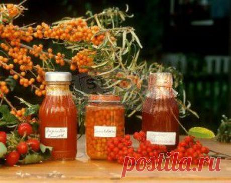 Чем полезна облепиха? |