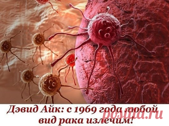 Дэвид Айк: С 1969 года ЛЮБОЙ ВИД РАКА ИЗЛЕЧИМ!
Точки здоровья на наших ладонях 
Нажимая на некоторые точки на наших ладонях, можно повлиять на разные органы.Рак – излечимая грибковая инфекция. Очень похоже на то, что медицинская мафия использует слово «рак», как обманку для последующего массового убийства людей с помощью радио- и химиотерапии. Процедуры эти очень дорогие, но работают хорошо – убивают абсолютно все
Цифры, конечно, впечатляющие. Восемь миллионов людей умирает ежегодно от рака во