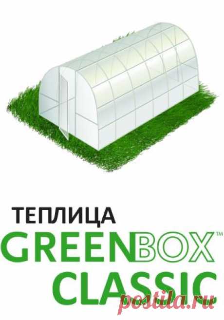 Недорогая теплица из поликарбоната GreenBox Classic