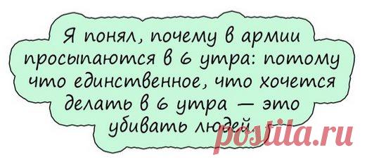 Анекдоты дня