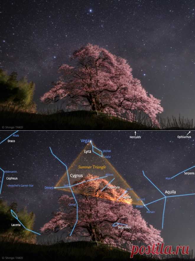 Миллиарды и миллиарды - cosmicvastness: НАСА Астрономическая картинка ...