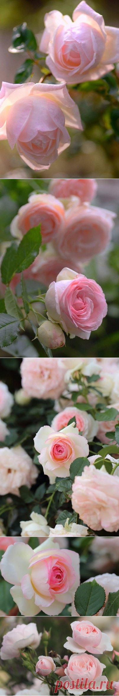 2 непрочитанных чата