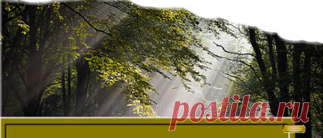 Плейкаст «СКОРО ЛЕТО!!! ЗВУКИ ПРИРОДЫ.......»