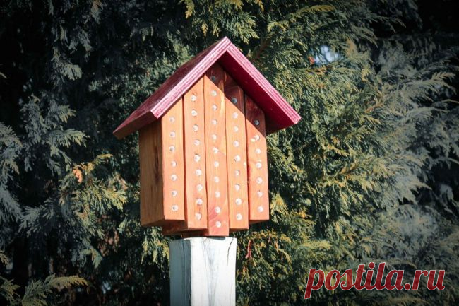 Домик для осмий своими руками