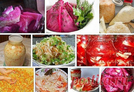 КАПУСТА