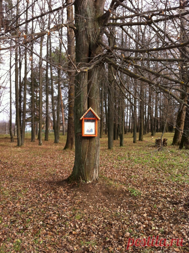 О камне целителе. Мне помогло, попробуйте и вы | За чашкой кофе | Яндекс Дзен