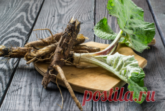 Целебный сбор из корней сорняков