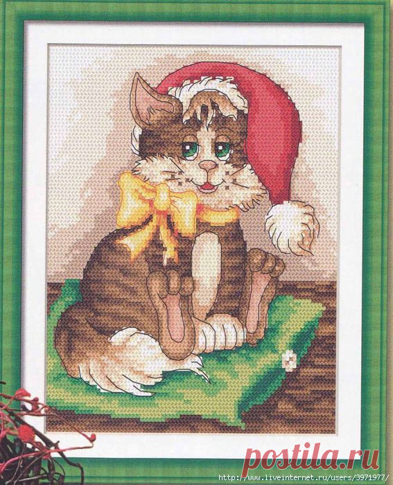 Котик