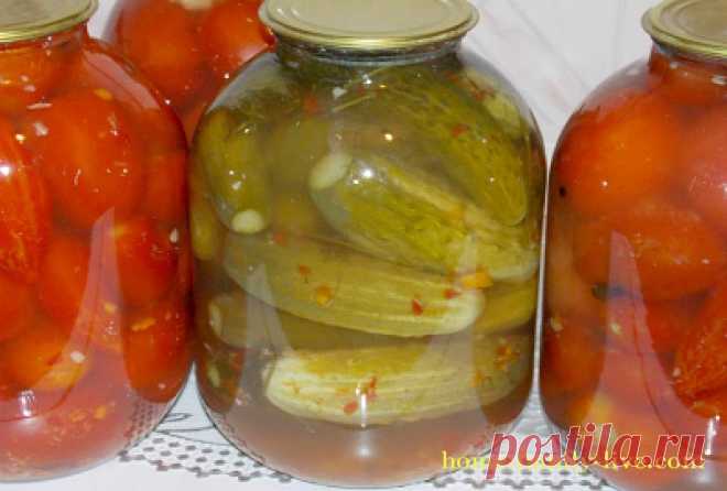 Огурцы по запорожски/Сайт с пошаговыми рецептами с фото для тех кто любит готовить