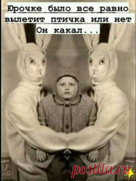 «Возможно, это изображение (1 человек, стоит и текст «все юрочке было равно вылетит птичка или нет он какал...»)» — карточка пользователя Татьяна Кармишина в Яндекс.Избранном