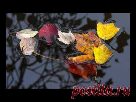 Юрий Пахомов