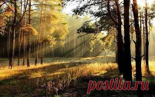 Мой Мир@Mail.Ru