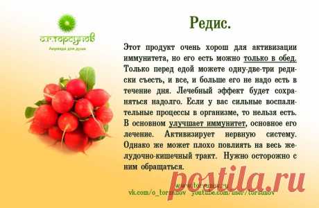 Редис
