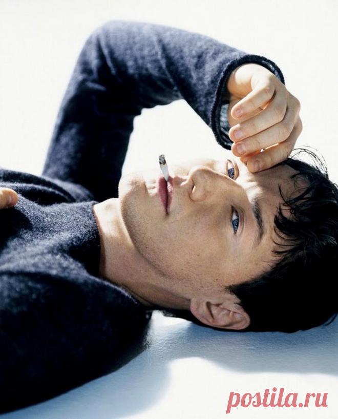 Джеймс МакЭвой