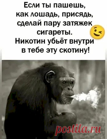 Выпуск №6498 - выпуск анекдотов сайта вокруг смеха