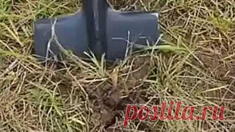 Дачные полезные советы
