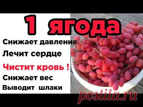Этот  ОТВАР  пьют  ДОЛГОЖИТЕЛИ,  но  держат в секрете!