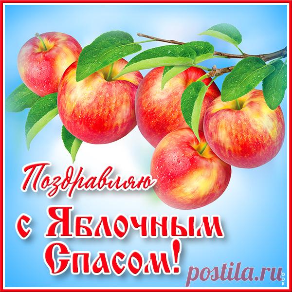 Да здравствует великий Спас!
И пусть хранит Всевышний вас.
А аромат сочных плодов,
Подарит счастье и любовь.