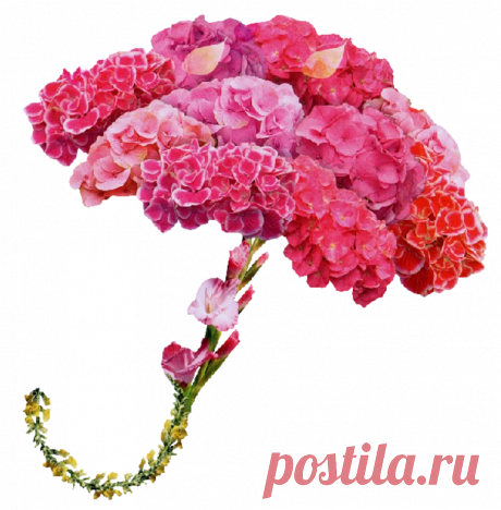 разные красивые детали на прозрачном фоне: 19 тыс изображений найдено в Яндекс.Картинках