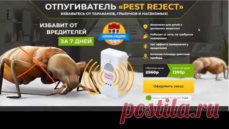КАК БЫСТРО ИЗБАВИТЬСЯ ОТ ГРЫЗУНОВ, ТАРАКАНОВ И НАСЕКОМЫХ В ДОМЕ...