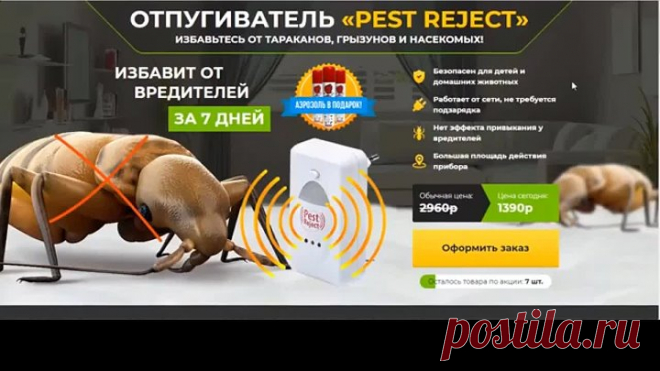 КАК БЫСТРО ИЗБАВИТЬСЯ ОТ ГРЫЗУНОВ, ТАРАКАНОВ И НАСЕКОМЫХ В ДОМЕ...