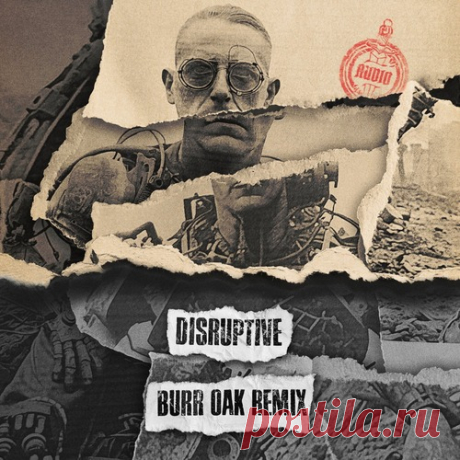 Black Sun Empire, Audio - Disruptive (Burr Oak Remix) free download mp3 music 320kbps