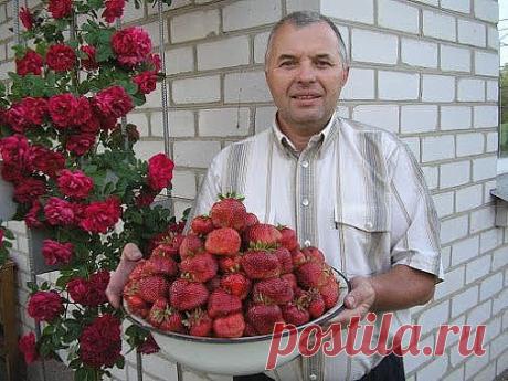 (69) Одноклассники