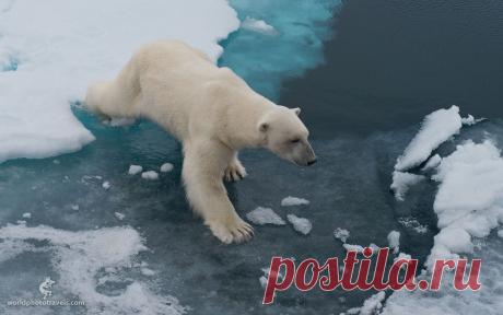 35PHOTO - Майк Рейфман - По тонкому льду