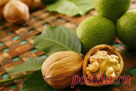 Рецепт молодости. Пророщенный грецкий орех.