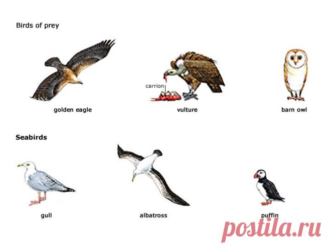 (2) Мой Мир@Mail.Ru