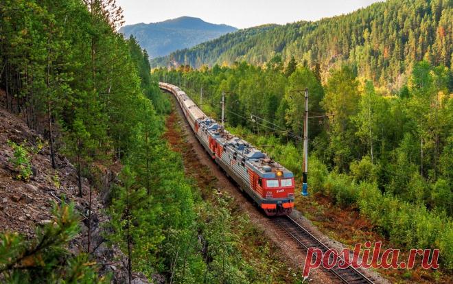 Поезд. Стихи Николая Рубцова. Исполняет Елена Писаренко. 2017 г.