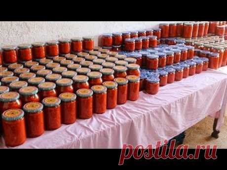 300 КГ ДЛЯ ЗНАМЕНИТОГО РЕСТОРАНА ❗ ПРИГОТОВИЛА ИЗ ПЕРЦА 😱 РЕЦЕПТЫ СОУСОВ ДЛЯ ЗАВТРАКА ✅