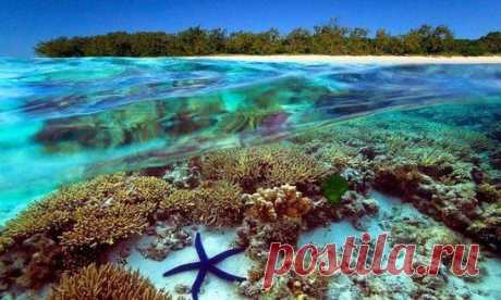 Большой Барьерный риф, Австралия