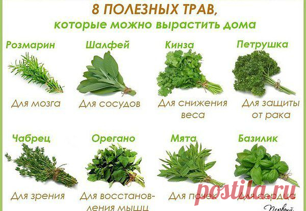 Интересные новости
