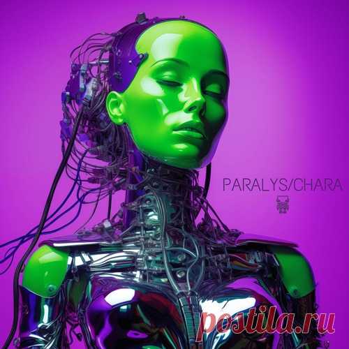 Kinky Sound, Nedisco, Maheridis – Paralys _ Chara [SRBT186] free download mp3 music 320kbps