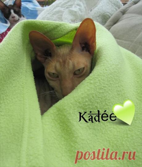 Naneke Nan - Google+