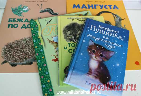 Рассказы про животных для детей 5-8 лет. Подробное описание 5 книг, их содержание, качество, рекомендации по работе с детьми.