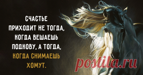 Точно сказано.