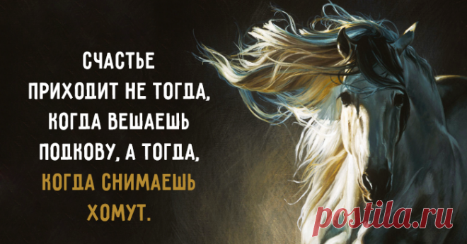 Точно сказано.