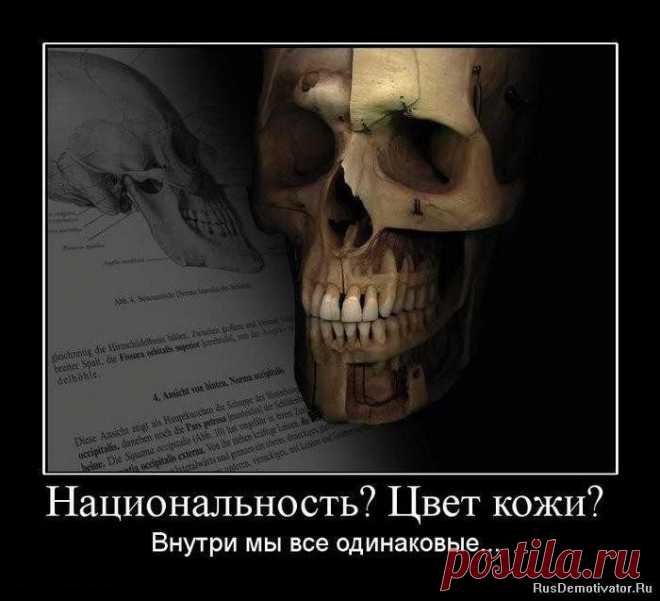 Нет плохих наций! Есть плохие люди!