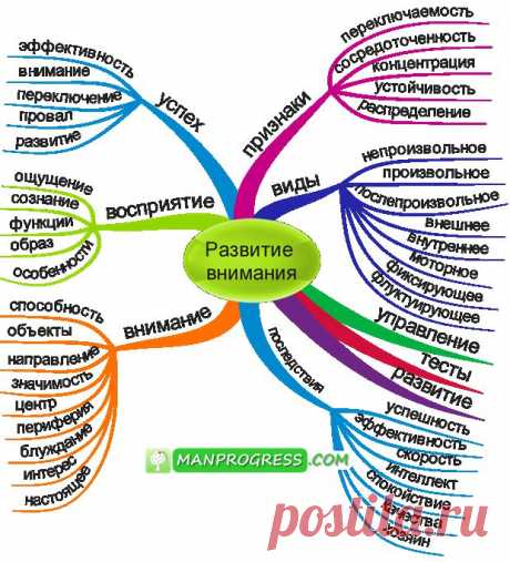 Развитие внимания &amp;copy; / Методы / Личное развитие и самореализация