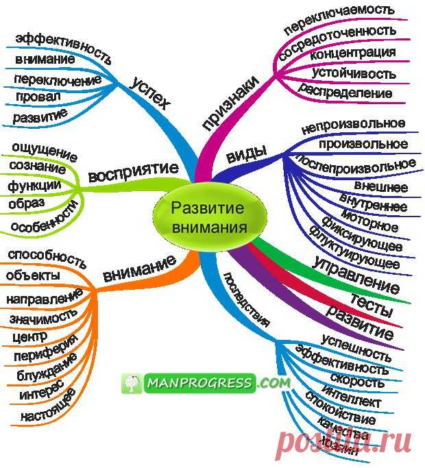 Развитие внимания &copy; / Методы / Личное развитие и самореализация