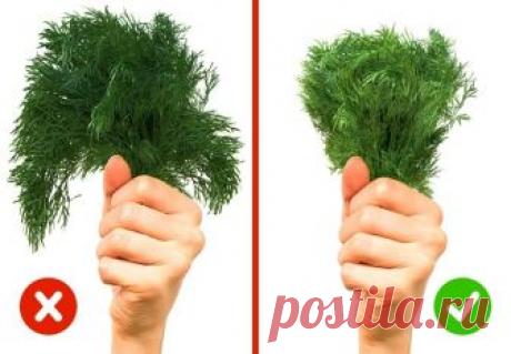 10 способов проверить качество продуктов, которые вы едите каждый день