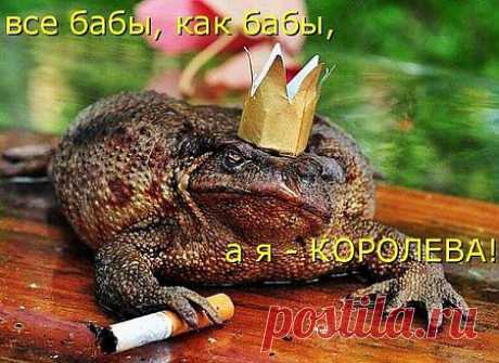 Все бабы, как бабы… Внимание слева:
Конечно, Вы правы, что я – королева!
Все принцы на свете мизинца не стоят…
И даже, что слева, стоят длинным строем!
Равненье на грудь… на четвертую справа!
Ее не затмит никакая оправа!!
Все бабы, как бабы…
