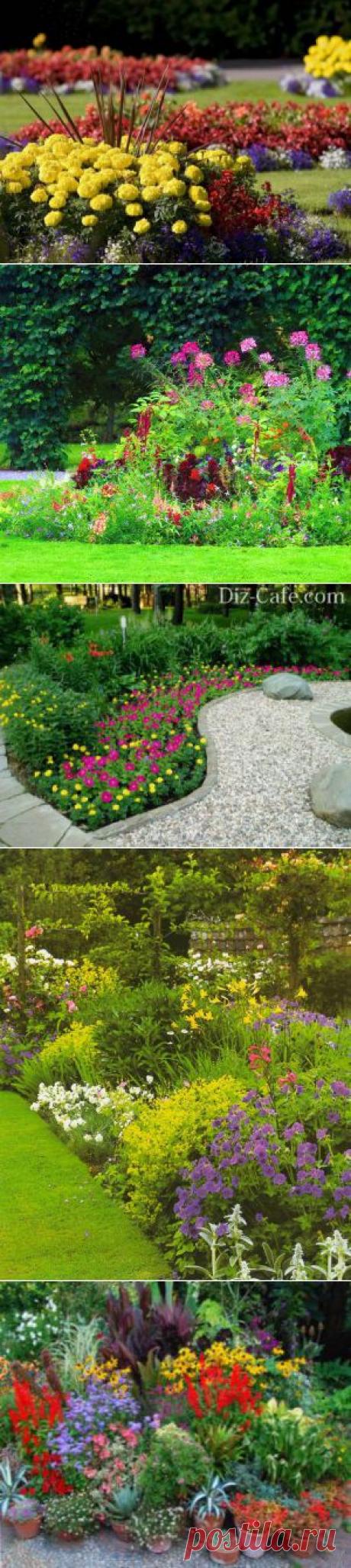 Яркие цветники (подборка идей) « Кладовочка идей