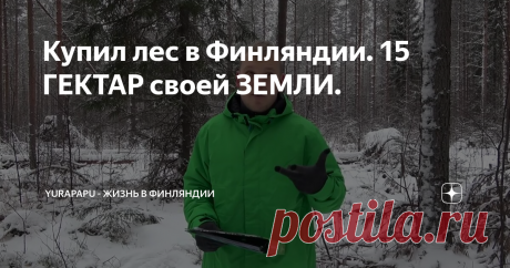 Купил лес в Финляндии. 15 ГЕКТАР своей ЗЕМЛИ.
