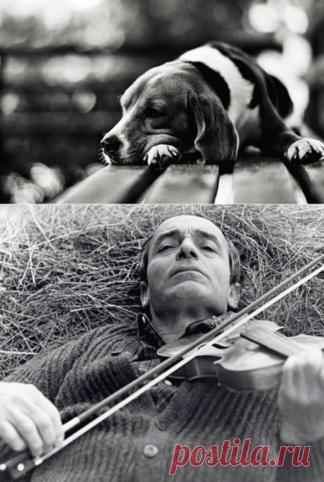 Стихотворения Валентина Гафта