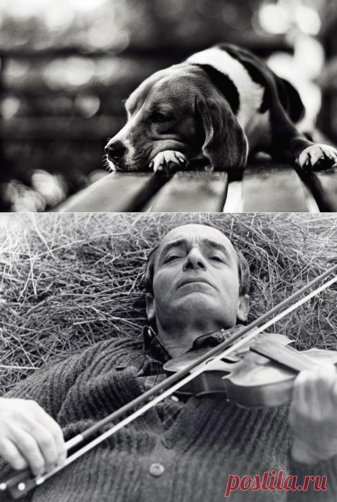 Стихотворения Валентина Гафта